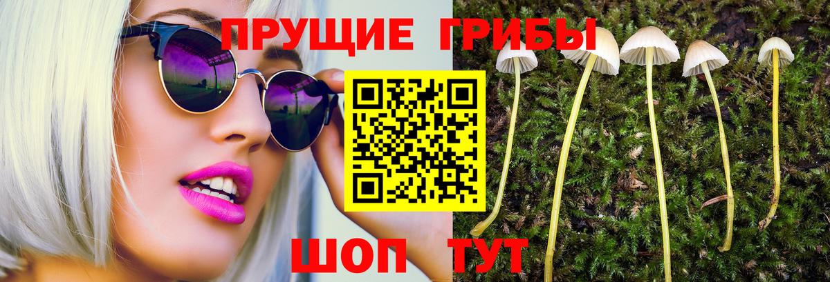 Галлюциногенные грибы Cubensis Людиново